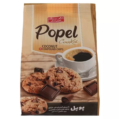 -با-چيپس-شکلاتي-پاپل200گرم-شيرين-عسل.webp شيرينی نارگيلی با چيپس شکلاتی پاپل200گرم شيرين عسل - تصویر 1